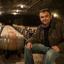 ドメーヌ・ピエール・ダモワ Domaine Pierre Damoy