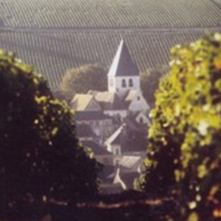 ドメーヌ・ランボー・ピノー Domaine Raimbault Pineau