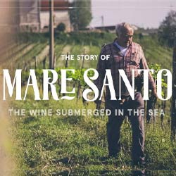 マーレ・サント・ワインズ MARE SANTO WINES